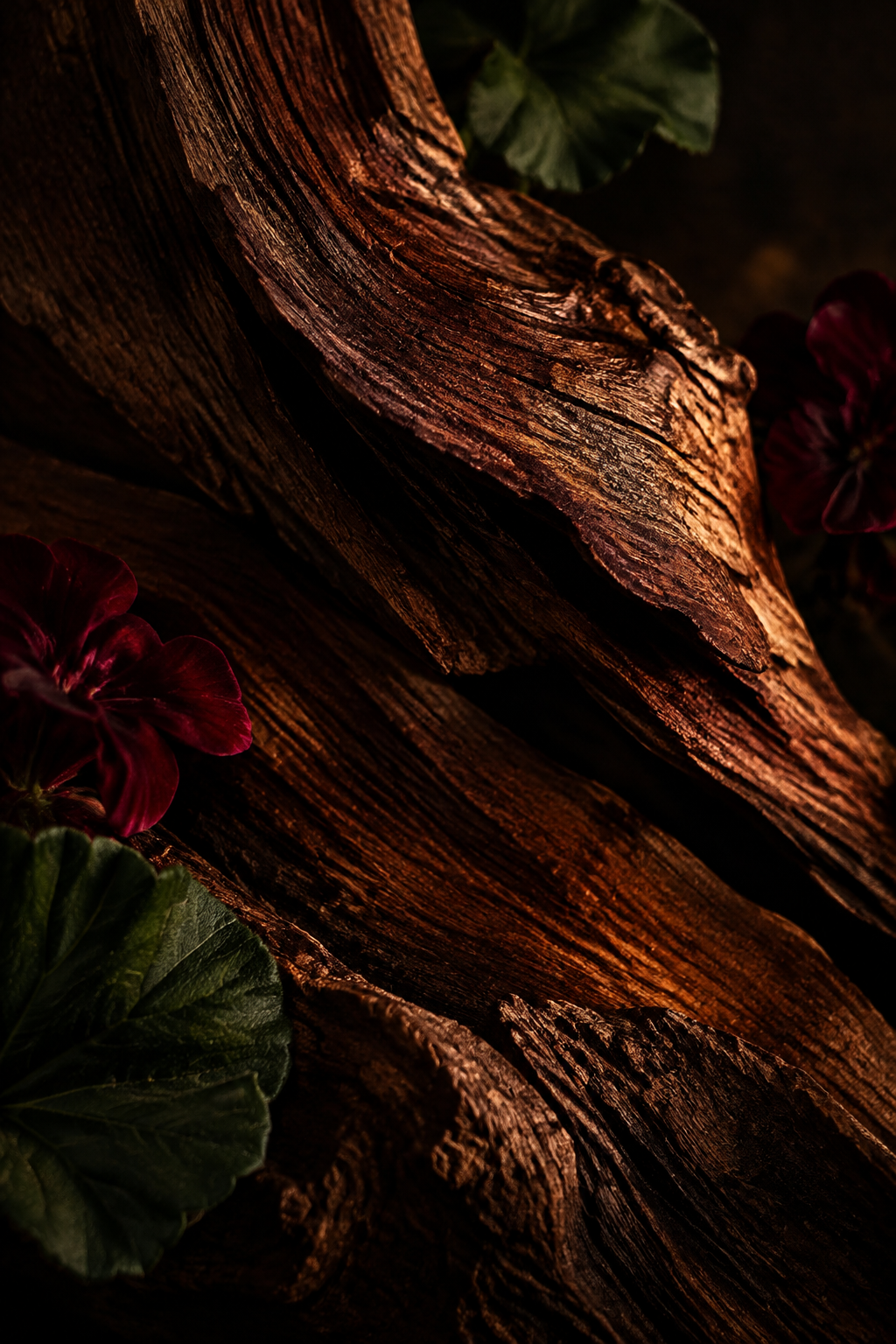Mahogany
