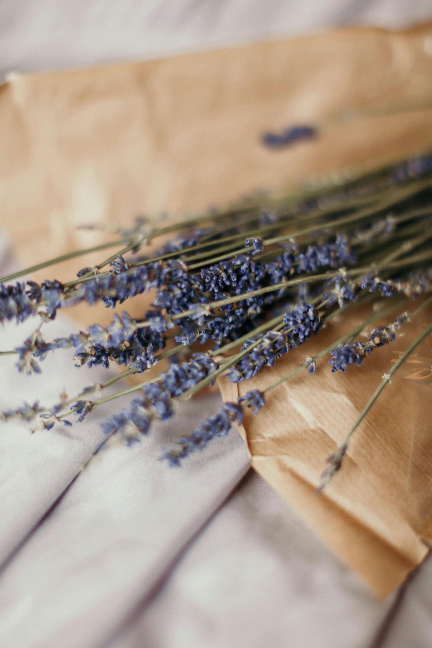Lavender Love